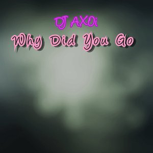Why Did You Go