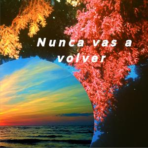 Nunca Vas a Volver