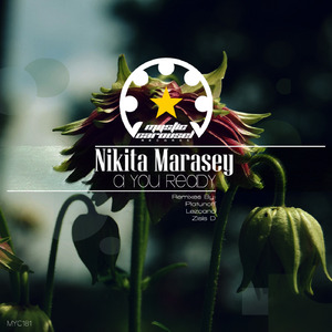 A You Ready (Zisis D Remix)