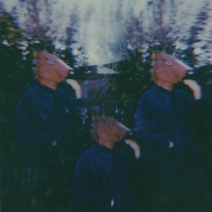 阳光不燥，微风正好