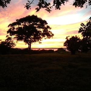 Can I Come With You (feat. Heather Smist)