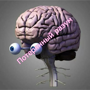 Потерянный разум