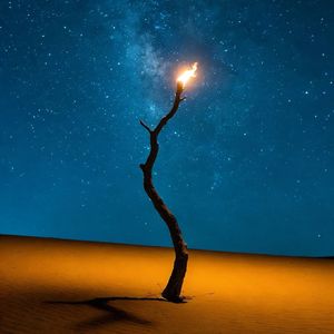 蜉蝣的巨浪（伴奏）