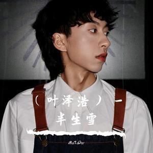 翻唱（叶泽浩） - 半生雪