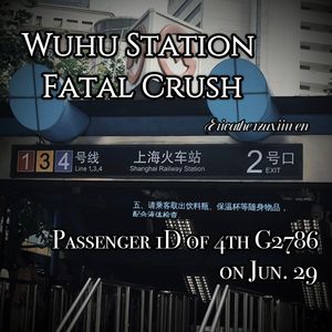 Passenger 1D of 4th G2786 on Jun. 29 (Piano)