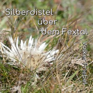 Silberdistel über dem Fextal