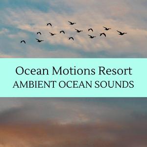 Morning Oceanic Vibes