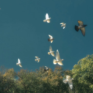 共铭此刻 王一博