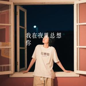 我在夜里总想你