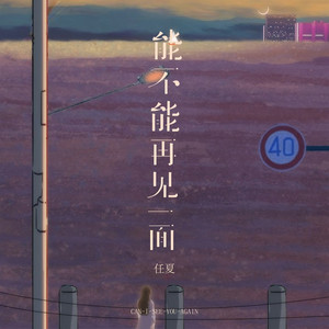 能不能再见一面 (伴奏)