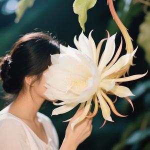 昙花一现的爱恋