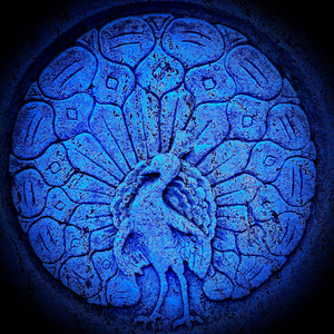 Tales from the Kasbah