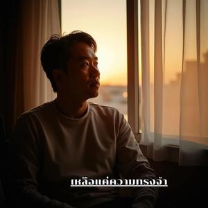 เหลือแค่ความทรงจำ