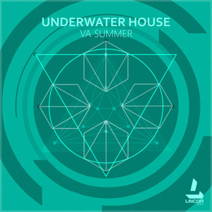 Insanity Forest (Samotarev Remix)