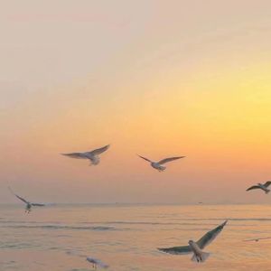 我做你的开心果