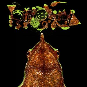 Take Them To The Water, And Then Deposit/Rhinoderma rufum