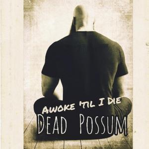 Awoke 'til I Die (feat. Da Possum AssMasterz)