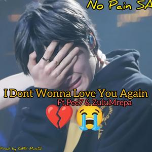 I Dont Wonna Love You Again (feat. Pee7 & ZuluMrepa)