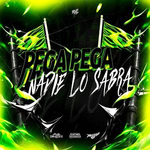 Pega pega vs nadie lo sabra (feat. Ema ramirez & Raccoon dj)