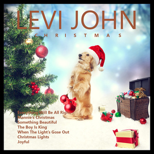 Under the Christmas Light