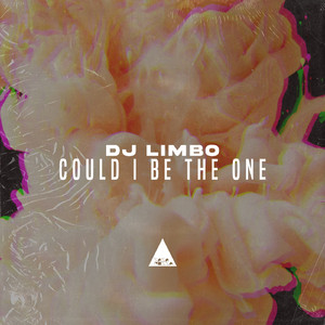 Could I Be the One (Original Mix)