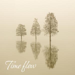Time Flow