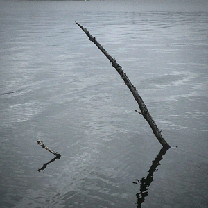 kveiktu í heimi mínum og ég mun brenna þinn niður