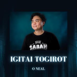 IGITAI TOGIROT