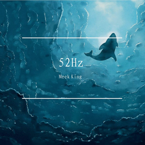 KnowKnow-52Hz（Meek King remix）