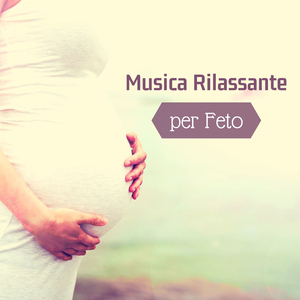 Sviluppo del feto