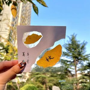 《薄霜清秋》凯貔头