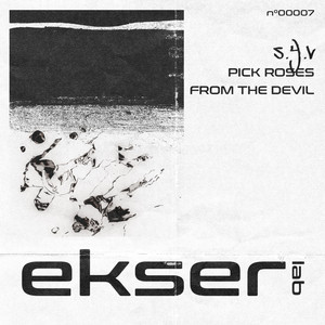 Pick Roses from the Devil