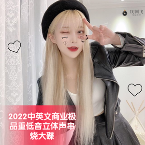 DJ国飞-2022中英文商业极品重低音立体声串烧大碟（DJ国飞 remix）