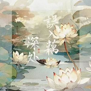 误入藕花深处