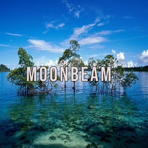 Moonbeam