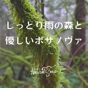 Serenade in a Misty Clearing