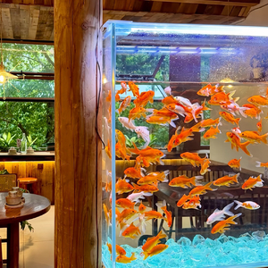 First Class Love Dive