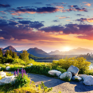 Symphony of Nature's Serene Harmony