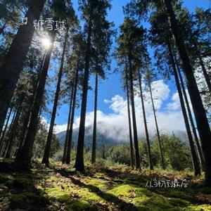 从当初到最后 (Cover 徐暖暖)