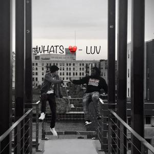 Whats Love