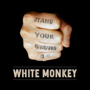 Stand Your Ground