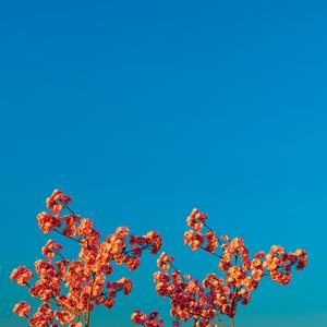 A Brighter Summer Day