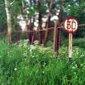 Сорные травы