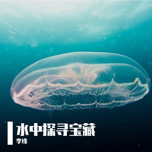 水中探寻宝藏