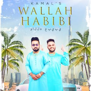 Wallah Habibi