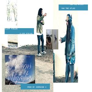 Patterns of Migration (feat. Cliff Fields & Jermaine X)