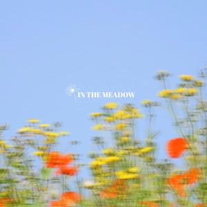 You And The Moon