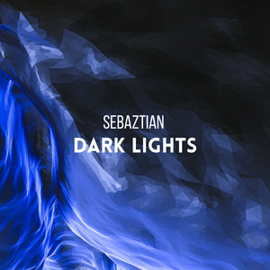 Dark Lights (Radio Edit)