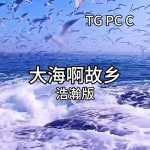 大海啊故乡
