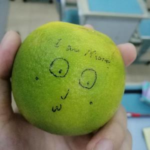 demo1 D 1645 pop inst.